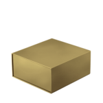 Up-giftbox-closed-angle-gold
